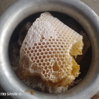 Pure Sundarbans Honey